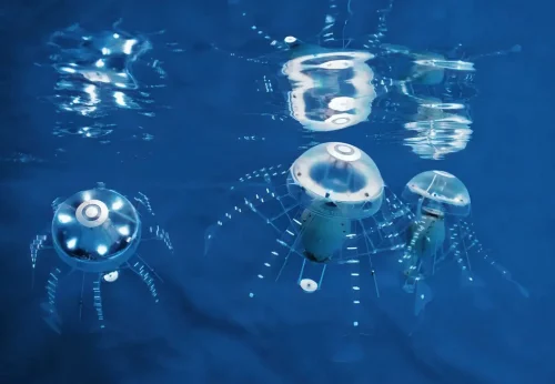 The Aqua Jelly robots at a shopping mall event in Bangkok, Thailand.
